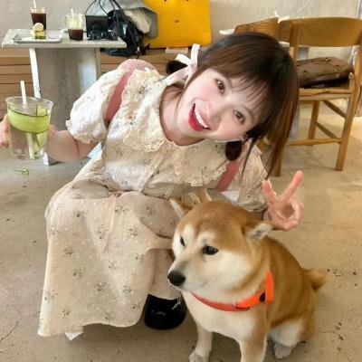 夏日大作战