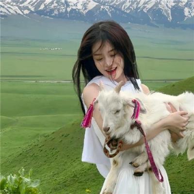 乘风破浪追万里